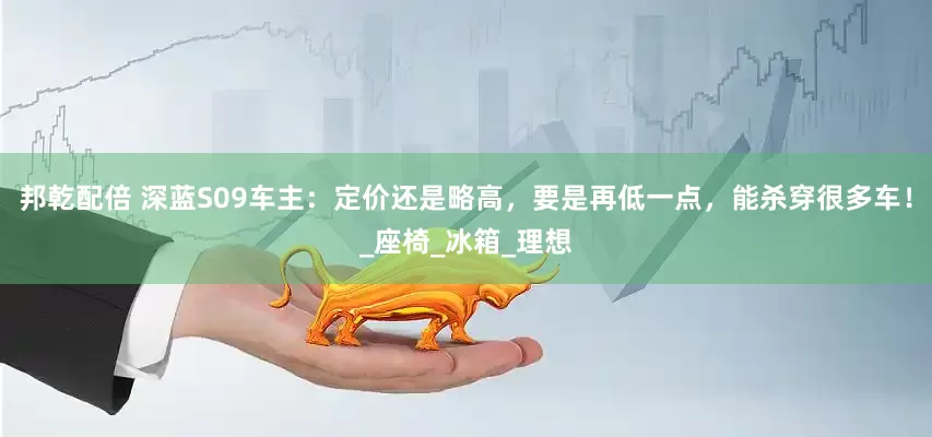 邦乾配倍 深蓝S09车主：定价还是略高，要是再低一点，能杀穿很多车！_座椅_冰箱_理想