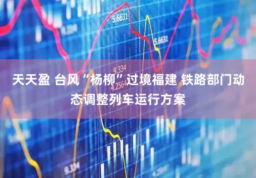 天天盈 台风“杨柳”过境福建 铁路部门动态调整列车运行方案